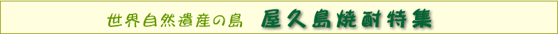 屋久島焼酎特集